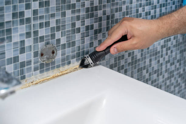 Best Mold Remediation Services  in Oak View, CA
